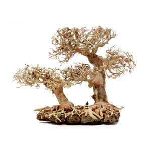 May include: A decorative bonsai tree made of driftwood with a natural brown color. The tree has multiple branches and a base made of rock.