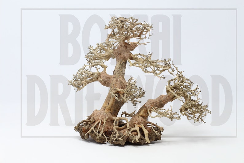 Aquarium Driftwood Moss Tree Underwater moss tree DLS Etsy