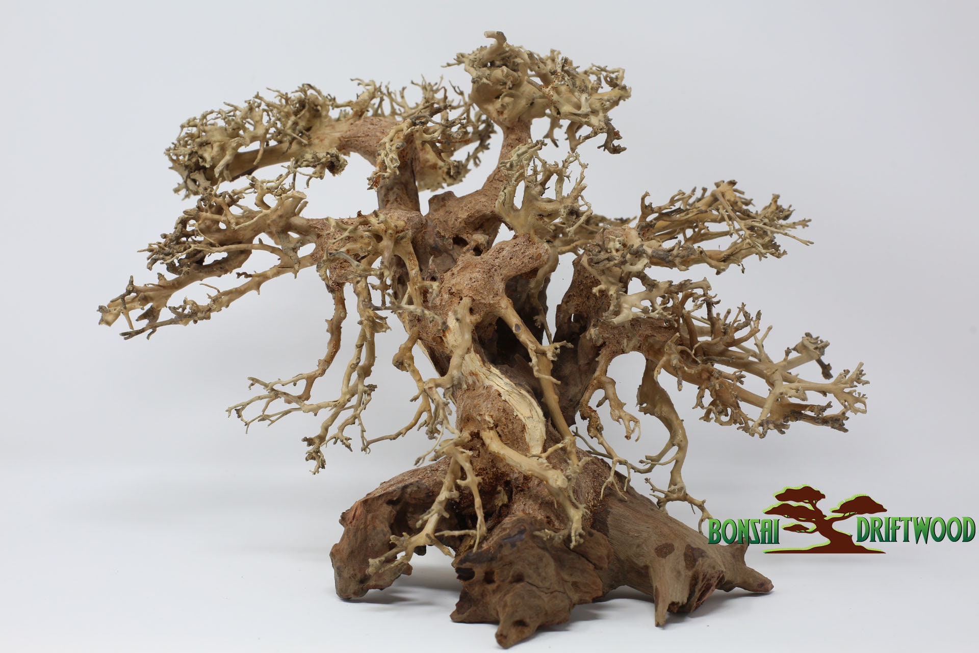 Aquarium Driftwood Bonsai driftwood moss tree aquatic AB
