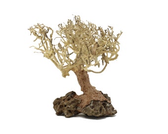 Aquarium driftwood moss tree - Bonsai Driftwood moss Tree - BM - Underwater bonsai driftwood tree - FREE SHIPPING -Free Return, replacement