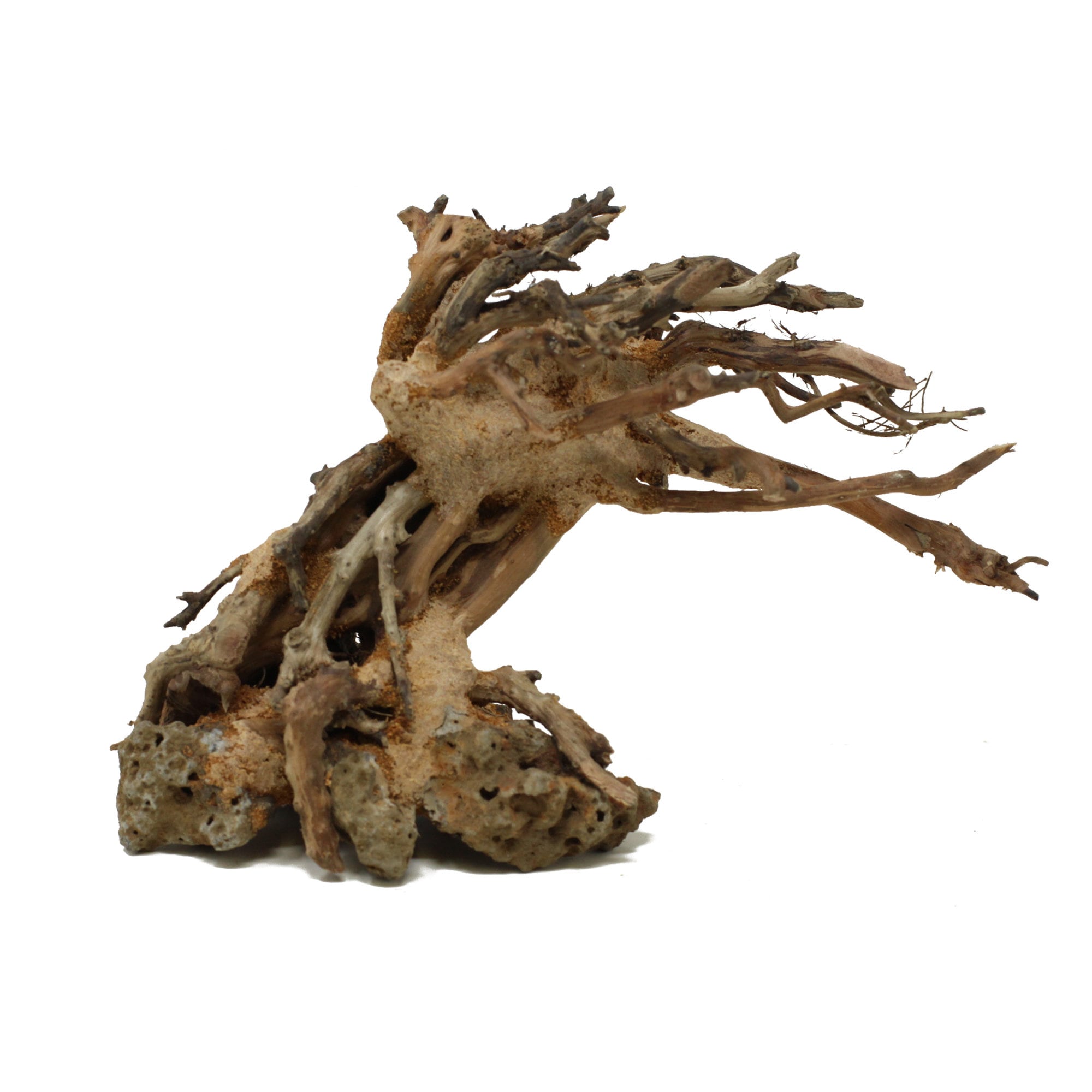 Bonsai Driftwood Aquarium Tree TT1 6 Inch Height Natural Etsy