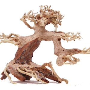 Bonsai Driftwood Aquarium Tree ASX (5 inch height) Natural, Handcrafted Fish Tank Decoration | FREE SHIPPING