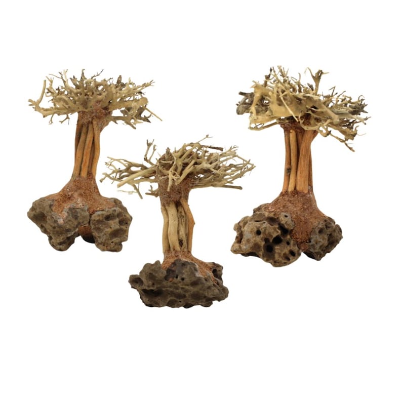 3pack Bonsai Driftwood Aquarium Trees on Rock 4 Height Handcrafted