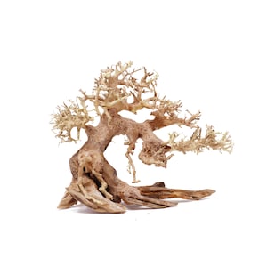 May include: A decorative bonsai tree made of natural wood. The tree features a detailed, textured trunk and branches with a light brown color. The bonsai is set against a white background, highlighting its intricate design.