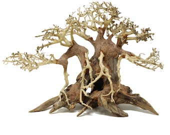 Aquarium Driftwood Bonsai driftwood moss tree aquatic AB - Driftwood bonsai aquarium tree decor underwater moss tree - bonsai moss tree