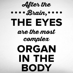 May include: Black and white text graphic that reads "After the ... Brain, ... THE EYES are the most complex ORGAN IN THE BODY".