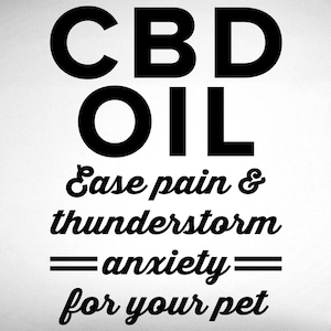 May include: Black and white image with the text "CBD OIL" in large bold letters. Below the text is the phrase "Ease pain & thunderstorm anxiety for your pet" in a stylized font.