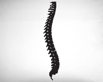 Spine - 0402 - chiropractic office wall graphics - chiropractic wall hangings - Bones - Vertebrae