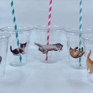 Cat Party Cups With Lids and Straws, Plastic Cat Party Drink Cups