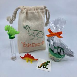 Dinosaur Party Favor: Dinosaur Party Bag filled with Dinosaur Play doh, Bubbles, Tattoo and Dinosaur Toy