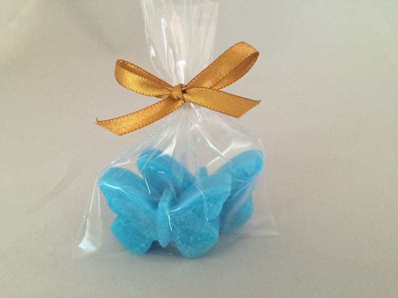 Cinderella Party Favor Glass Slipper Favor Soap and Cinderella Party Favor Glass Slipper Favor Soap and