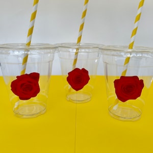 Beauty and the Beast Party Supplies: Beauty and the Beast Plastic Cups with Straws, Party Cups, Disposable Cups, Kids Cups