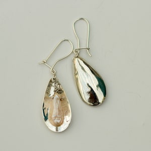 Mussel with Pearl Earrings / Sterling Silver / Genuine Pearl