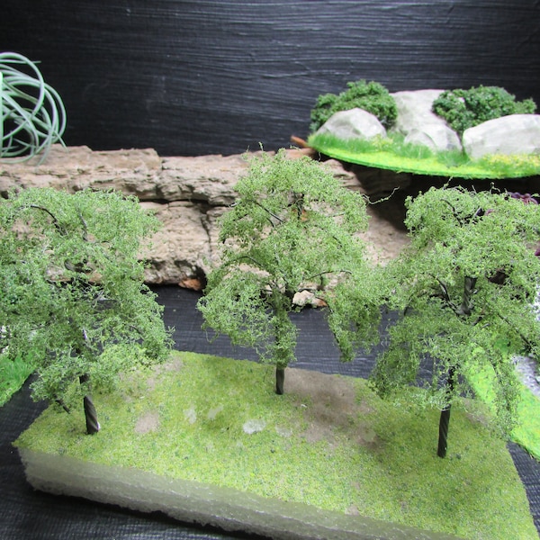 Miniature Oak Tree Etsy