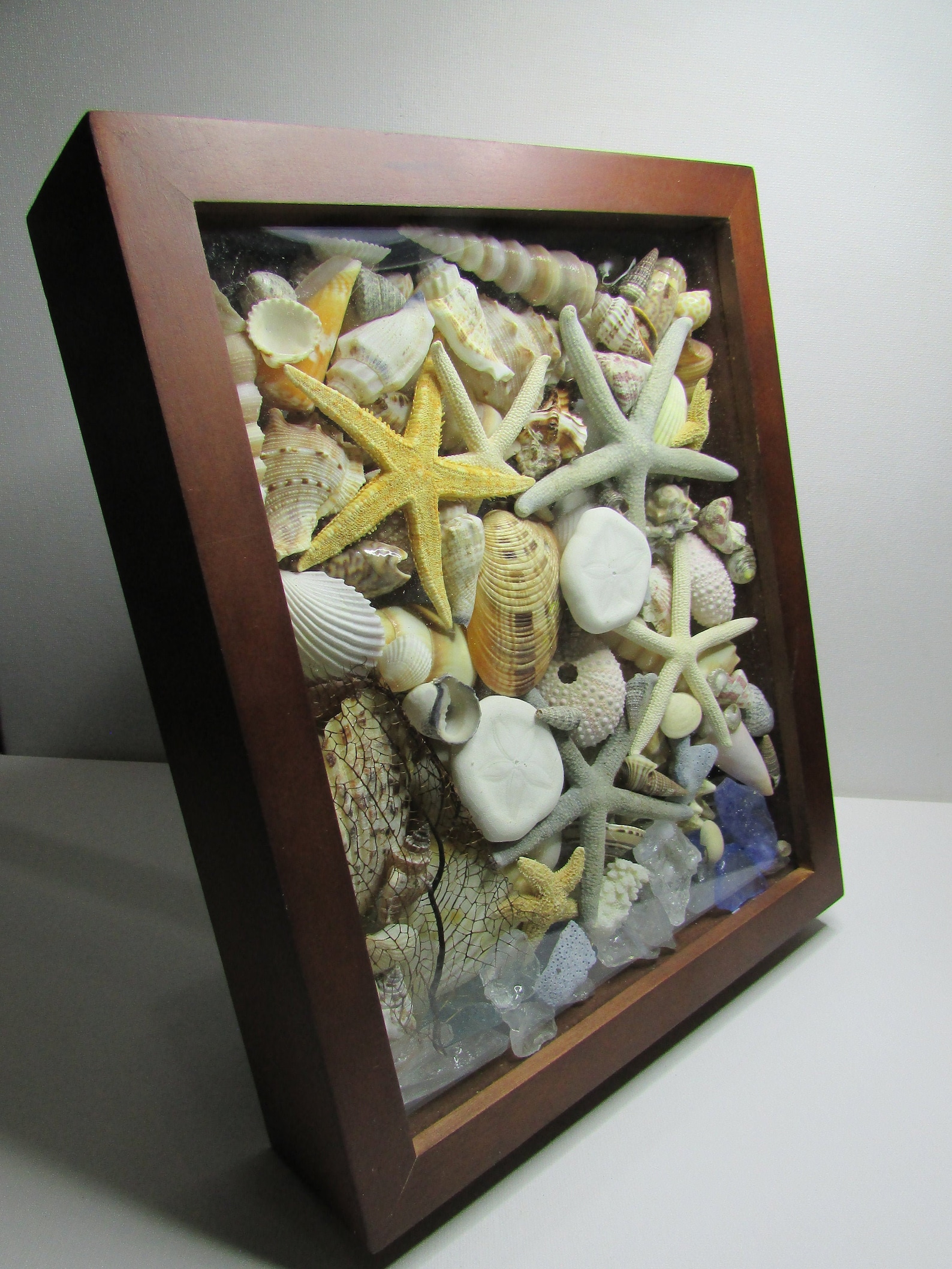 Sea Shell Shadow Box, Nautical Decor, Beach Decor, Home Decor, Coastal ...