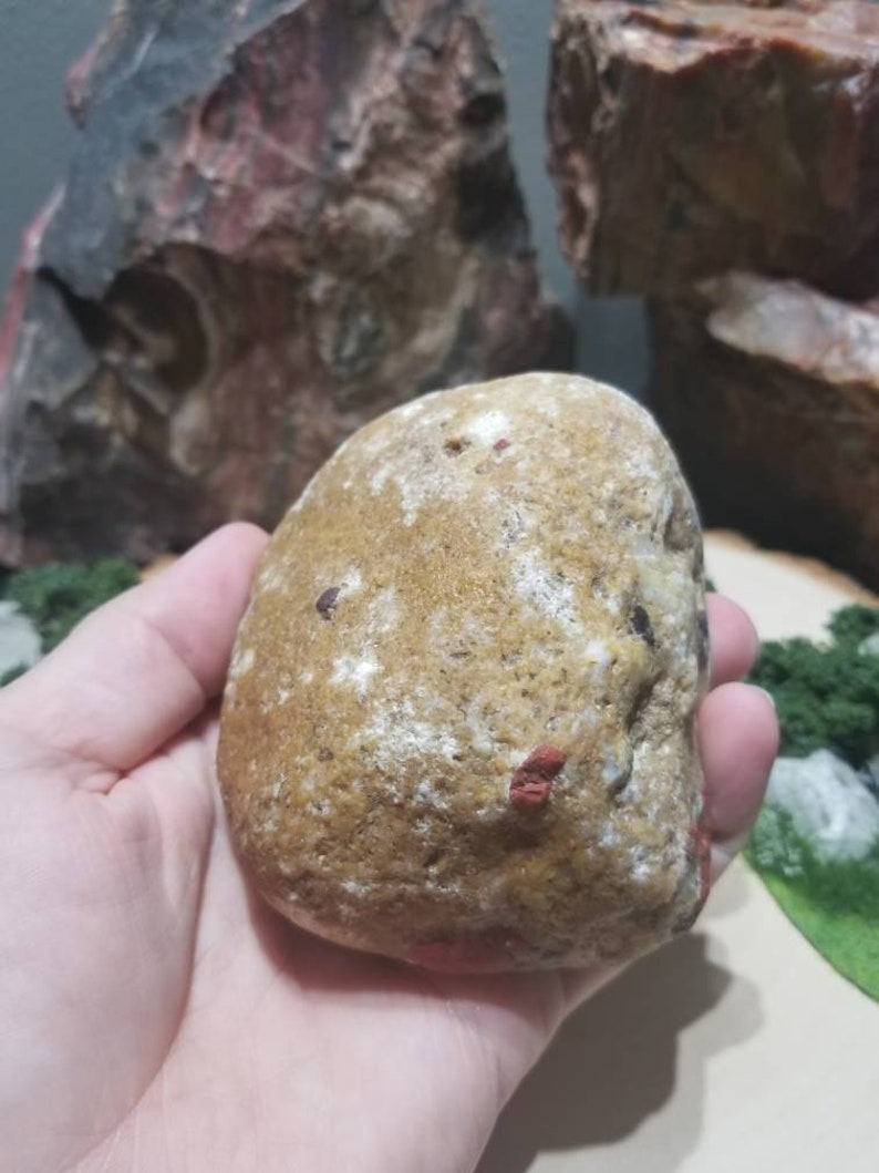 Large Pudding Stone 6 1lb 9oz & 4 Rough Rock Etsy