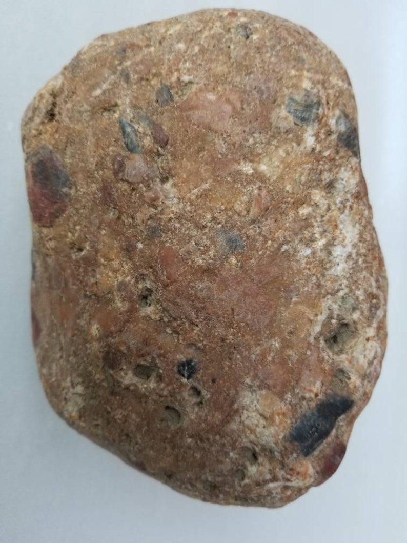 Huge Pudding Stone 1 8lbs & 6.5 Large Rough Rock Etsy
