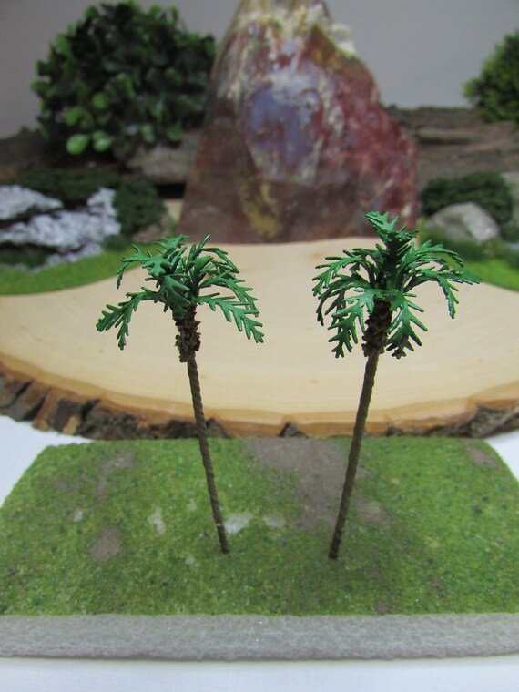 2 2.5 Miniature Palm Trees Palm Tree Terrarium Craft Etsy