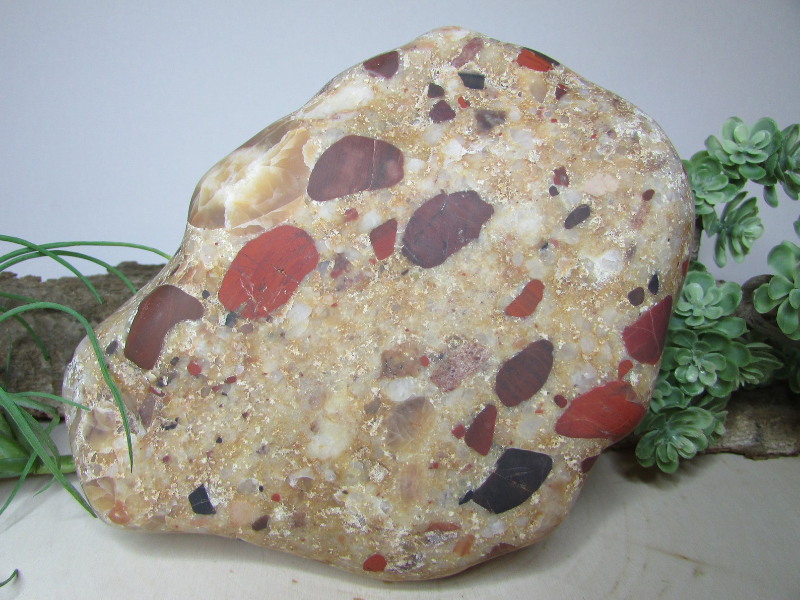 Large Pudding Stone 4 Lbs 9 Oz 6.25 Conglomerate Etsy
