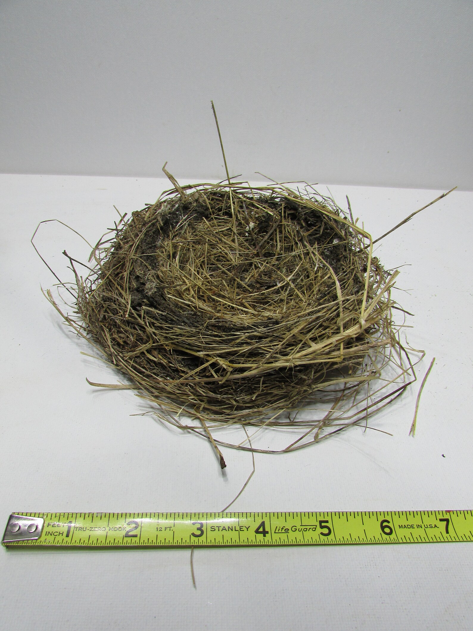 Large Natural Bird Nest Home Decor Craft Supply Real Bird Etsy