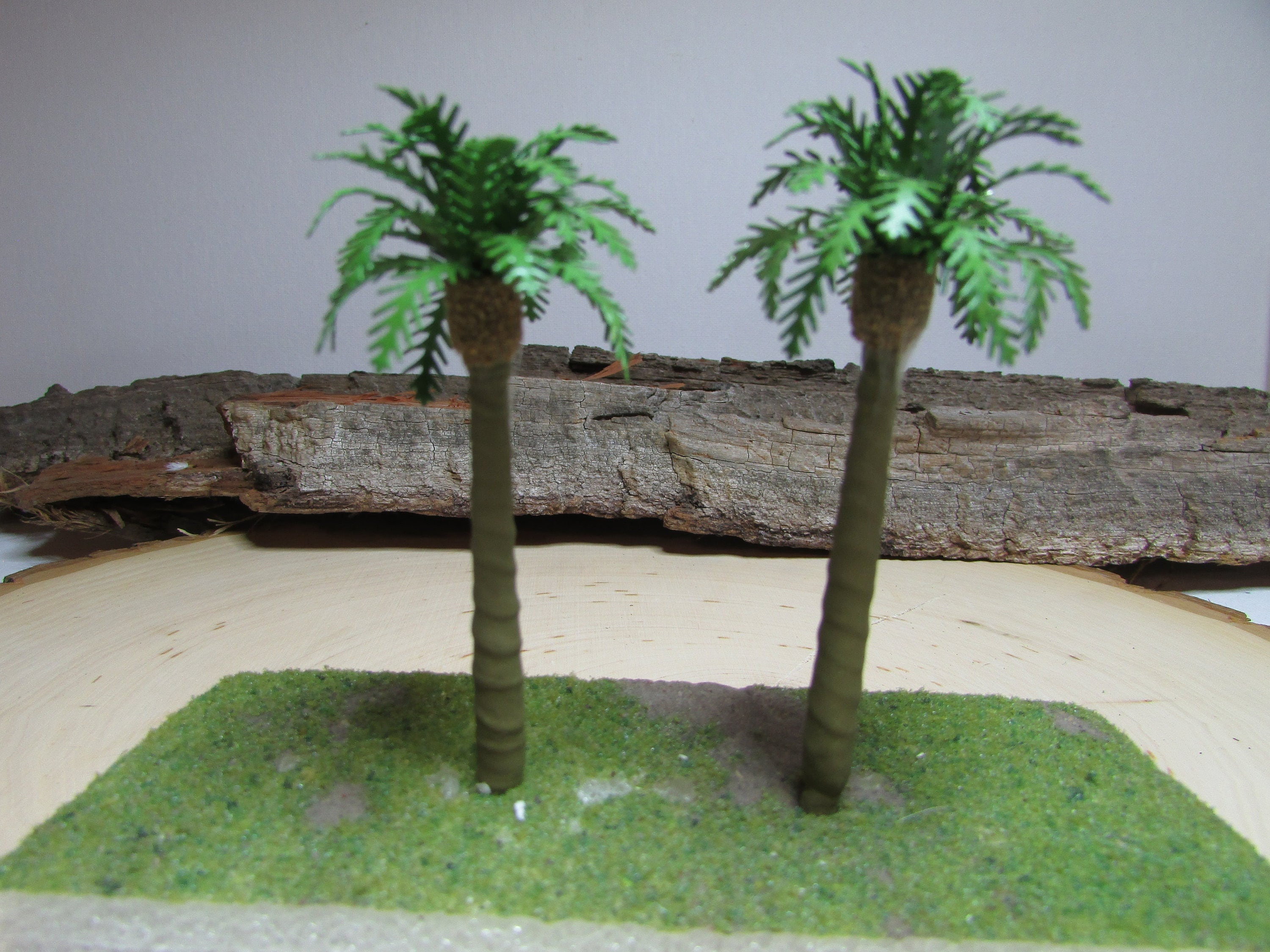 Miniature Palm Trees Palm Tree Terrarium Craft Tree Beach Etsy