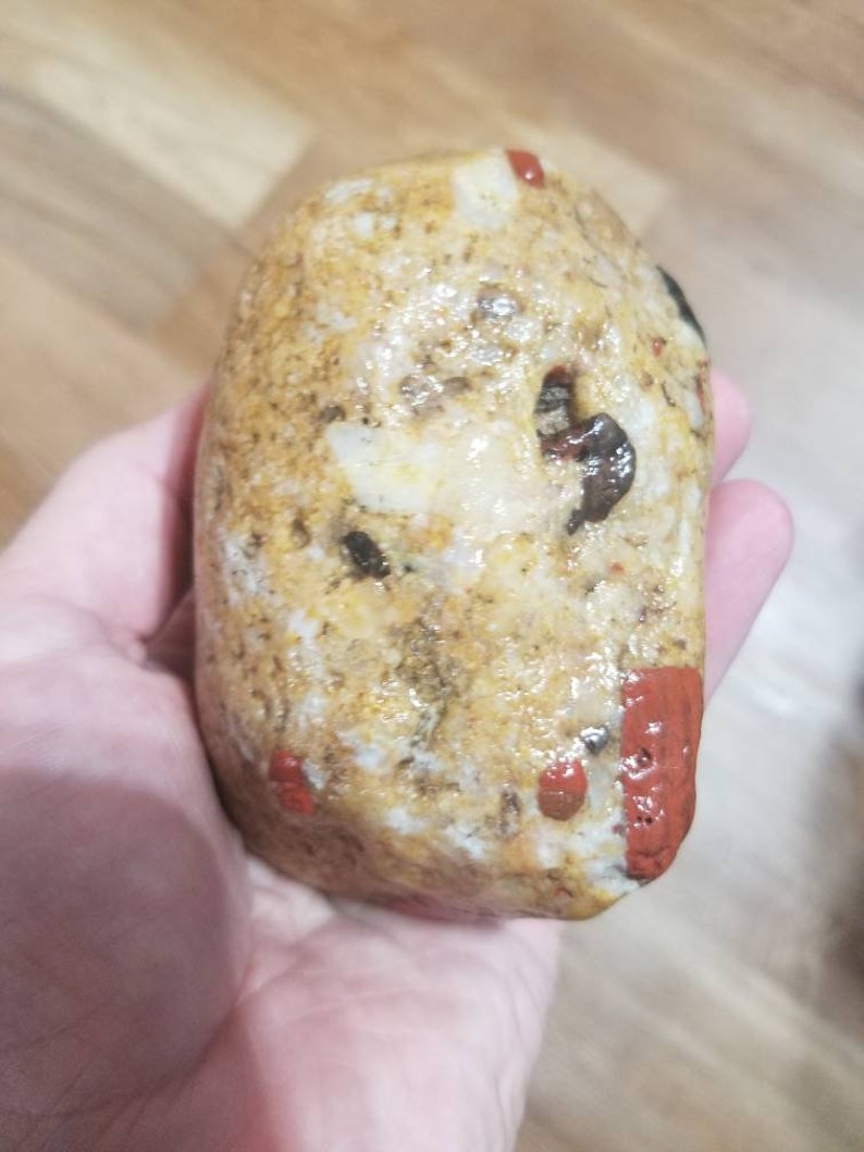 Large Pudding Stone 6 1lb 9oz & 4 Rough Rock Etsy