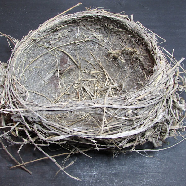 Natural Bird Nest, Home Decor, Craft Supply, Real Bird Nest, Nature Treasures, Art Supplies, Bird Nest Prop