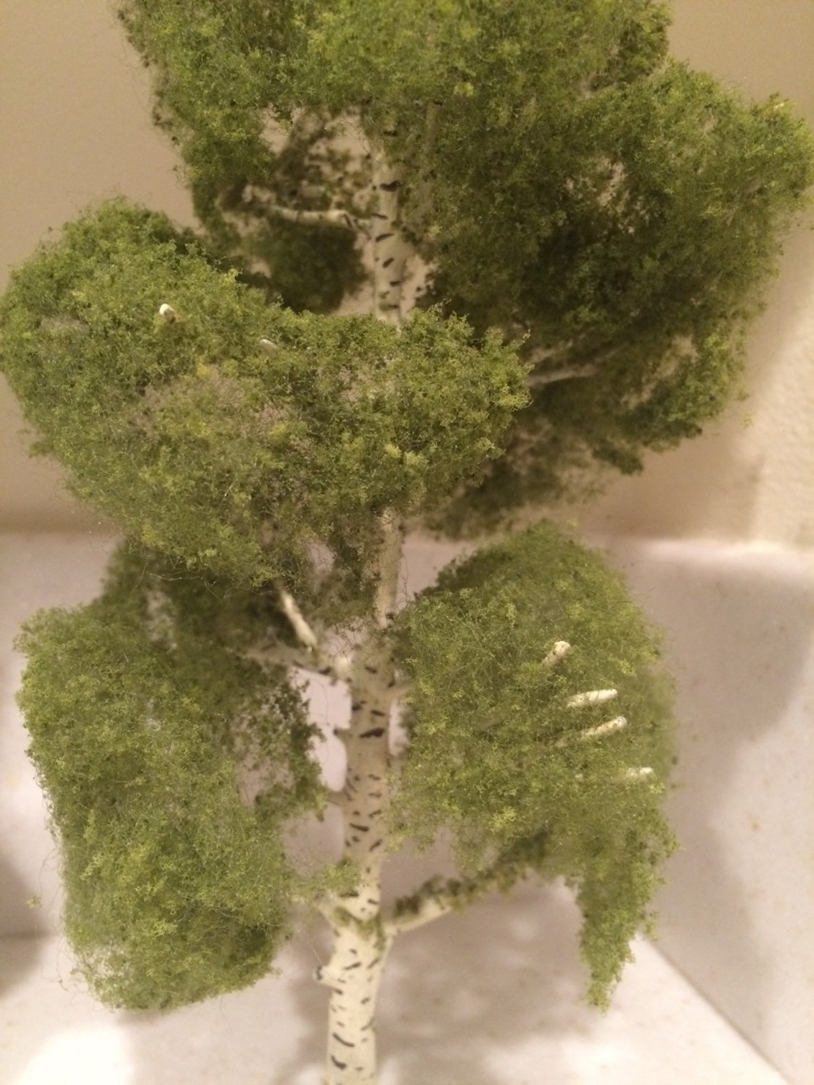 1 9 Miniature Tree Birch Tree Terrarium Craft Tree Etsy