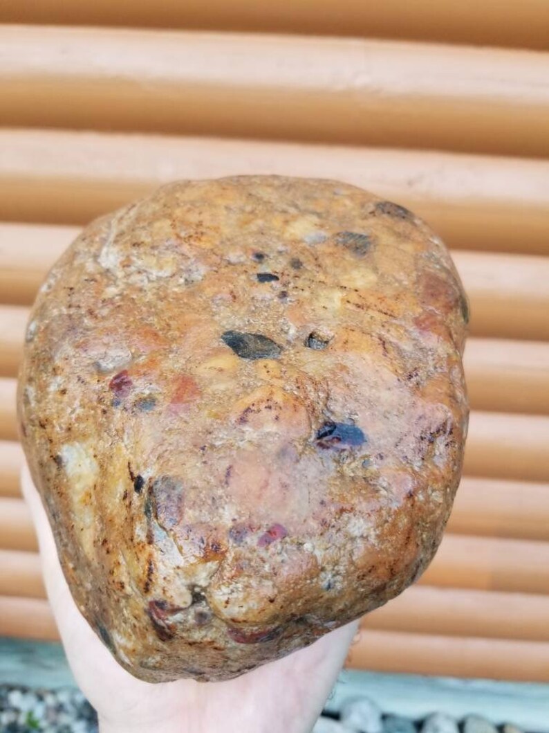 Huge Pudding Stone 1 8lbs & 6.5 Large Rough Rock Etsy