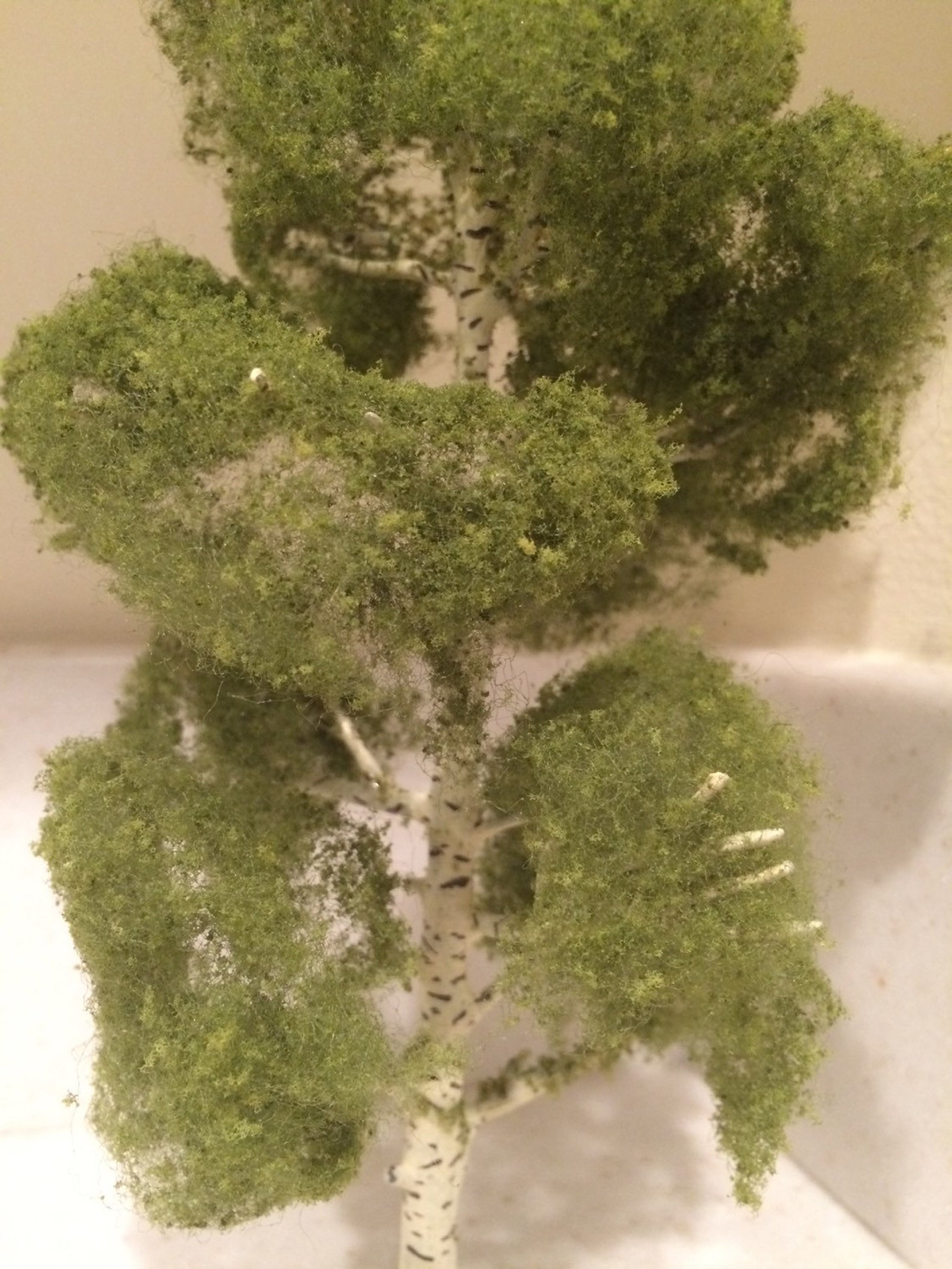 1 9 Miniature Tree Birch Tree Terrarium Craft Tree Etsy