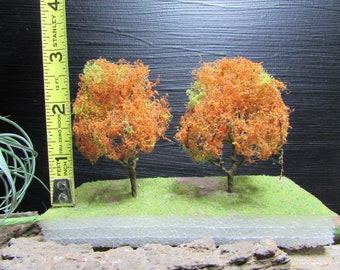 1 5.5 Arbre miniature, Arbre à feuilles caduques du début de