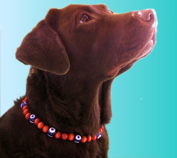 Haute Dogz – Unique Beaded Dog Collars