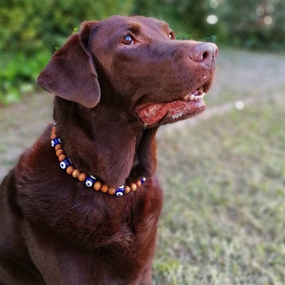 Pink Pearl Dog Collar - Beaded Dog Collar, Dog Necklace, Puppy Collar | eBay