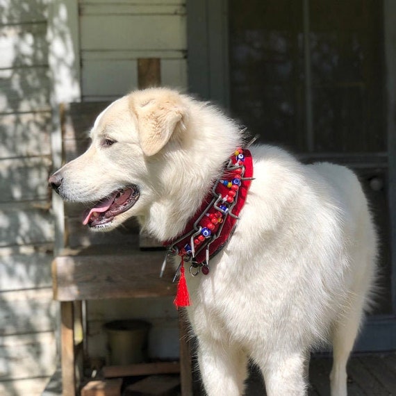 Spirited Large Bead Dog Collar