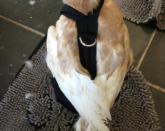 Hen Holster