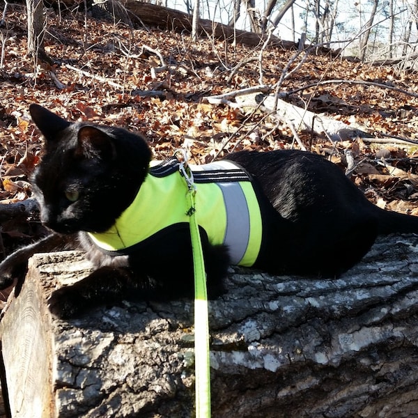 Kitty Holster Reflective Cat Harness