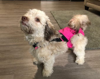 Ha-Pee-Pants Diaper for Small Dogs