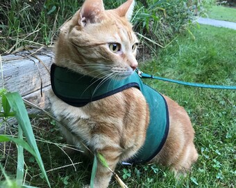 Kitty holsters best sale