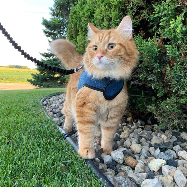 Kitty Holster Cat Harness (Made in USA)