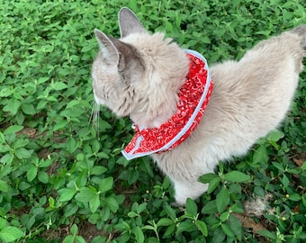 Collier proie pour chat