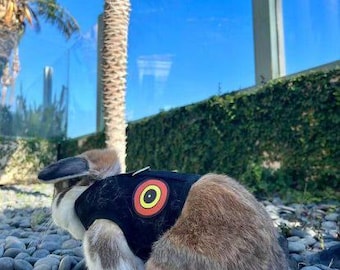 Bunny Holster Rabbit Harness