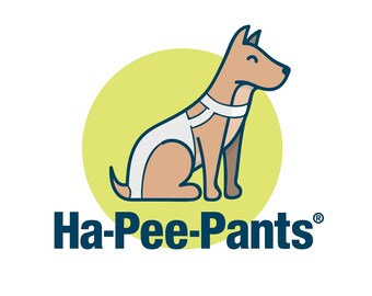 dog pee pants