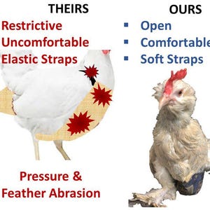 Fralda/peitoral para galinhas e aves aquáticas com forro permanente