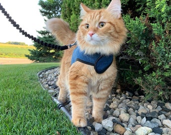 Kitty Holster Cat Harness (Made in USA)