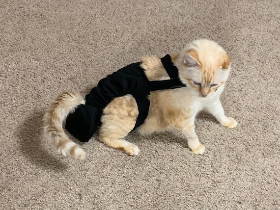 Hand made Diapurr Cat Diaper Etsy