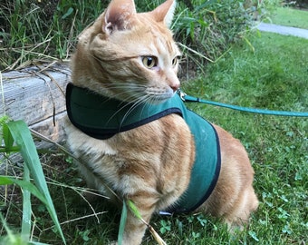 extra large cat harness