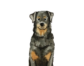 Rottweiler Druck 13x18