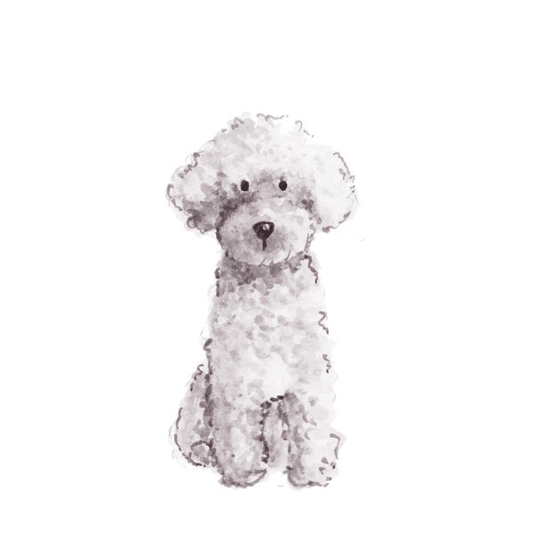 5x7 White Mini Poodle Print