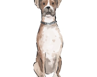 13 x 18 Boxer Print