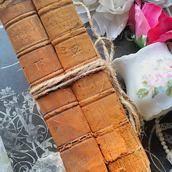 REDUCED: Antique Books. Wedding centerpieces or photos props.  History of Politics and Literature. Distressed decorative, 1700's books.